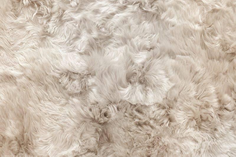 Throw CARMEN - Image 2